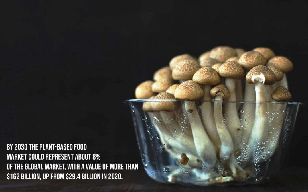 Mushrooms, a food alternative of the future and new and growing  business opportunities.